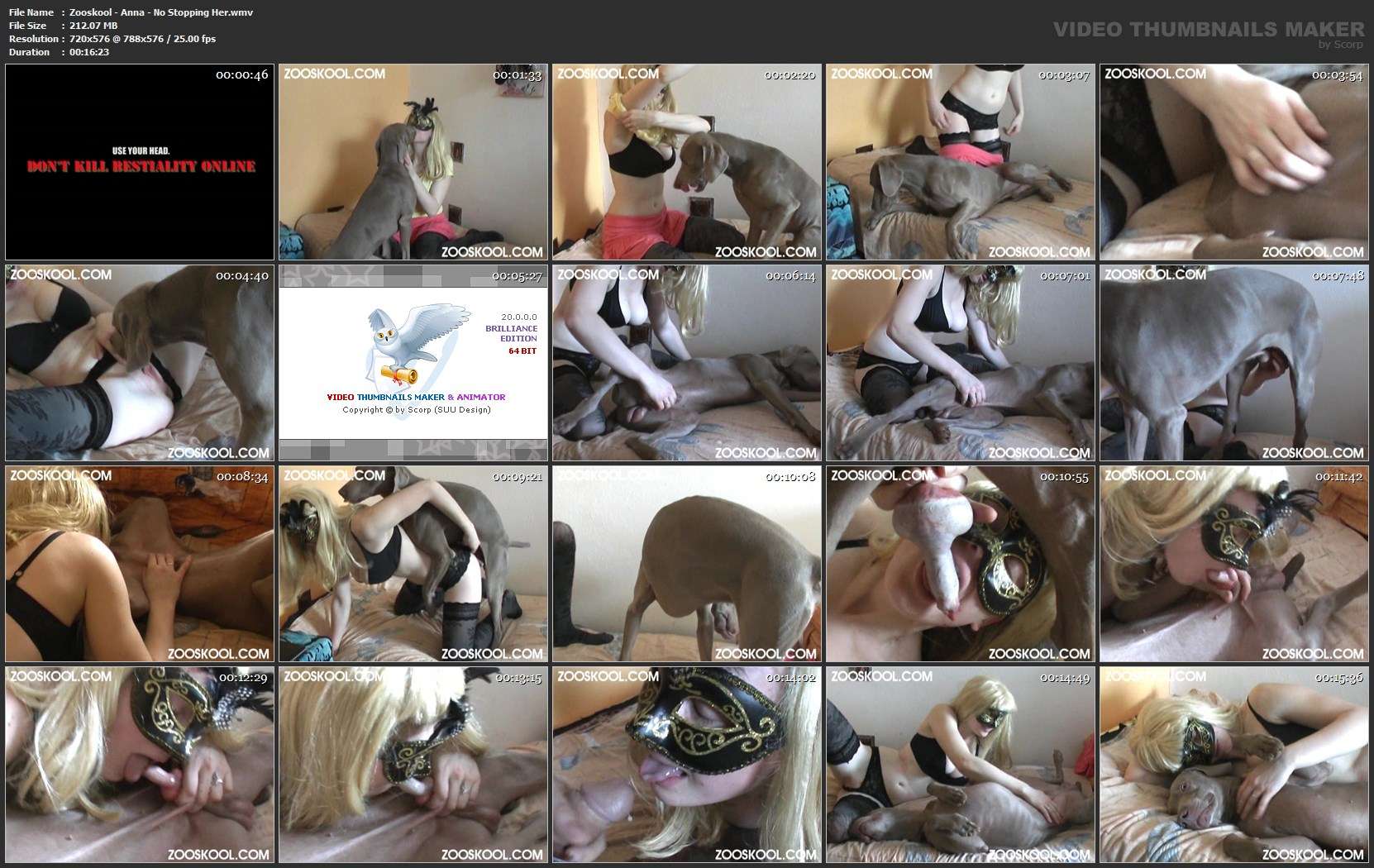 pinto de cavalo fodas com animais sexo bizarro Porno Bizarro - Sexo Gratis Cavalo de Pau Molhado e Mulher Chupando Mulher latina fazendo sexo com cavalo cachorro de pau duro